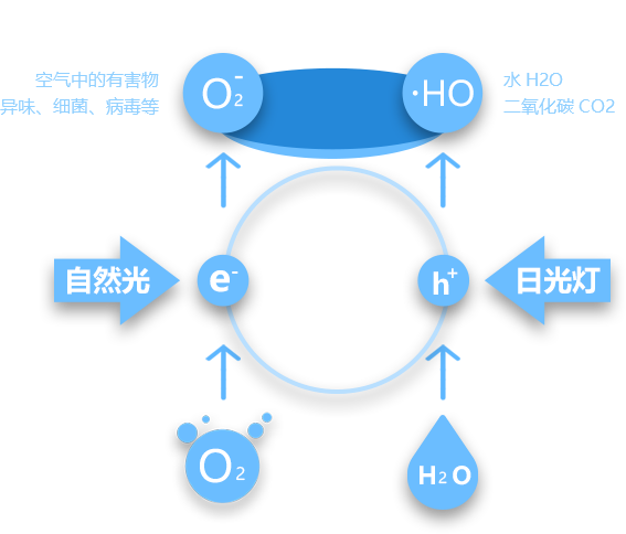 武汉汽车除甲醛